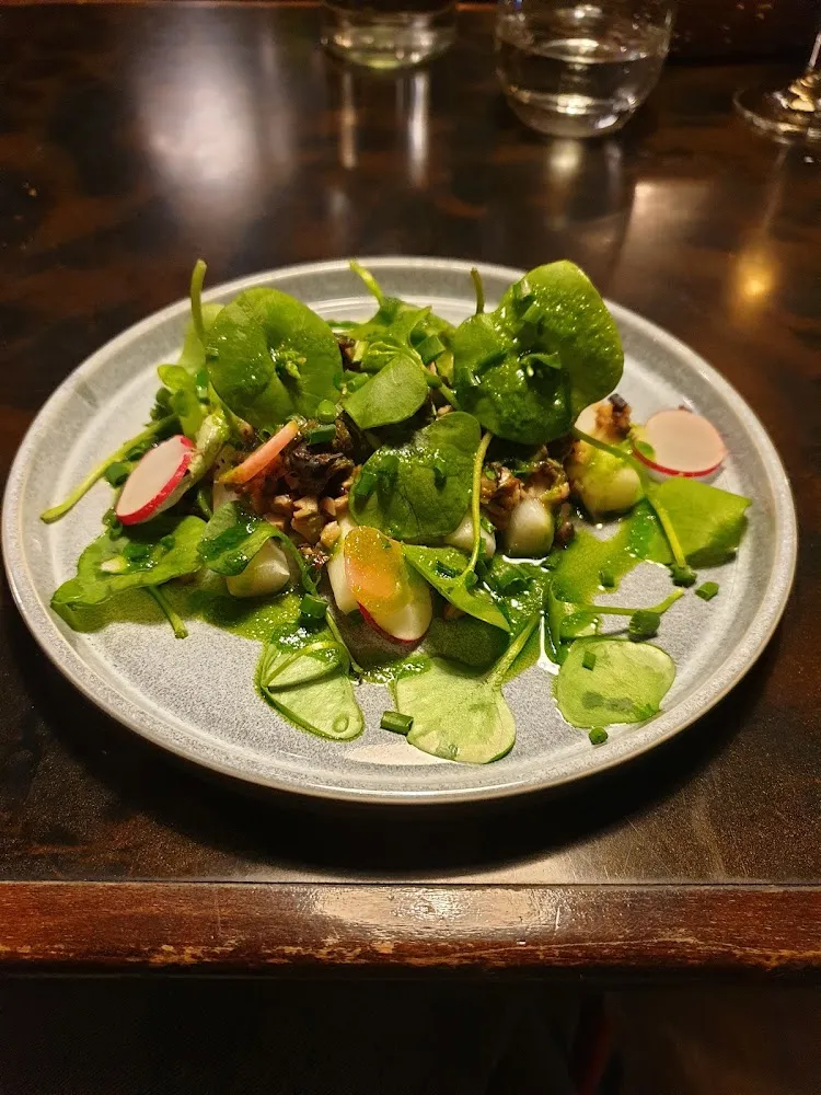 Escargot Île de Groix Aïl Des Ours Pourpier